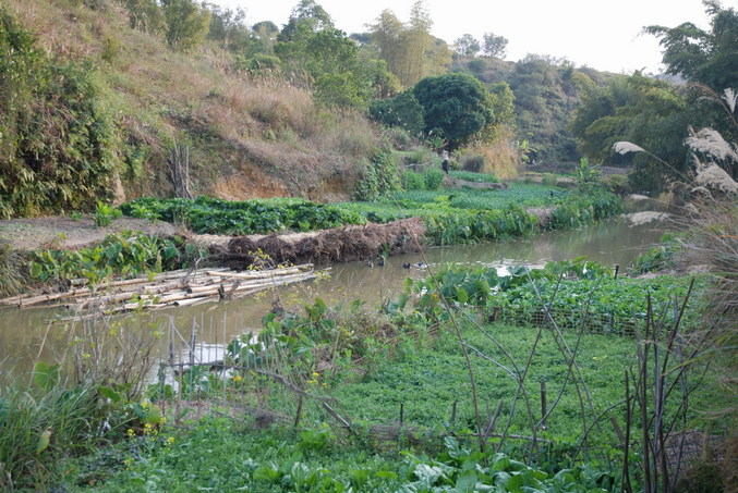 The river near the Confluence village