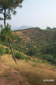 #1: The location on top of the ridge