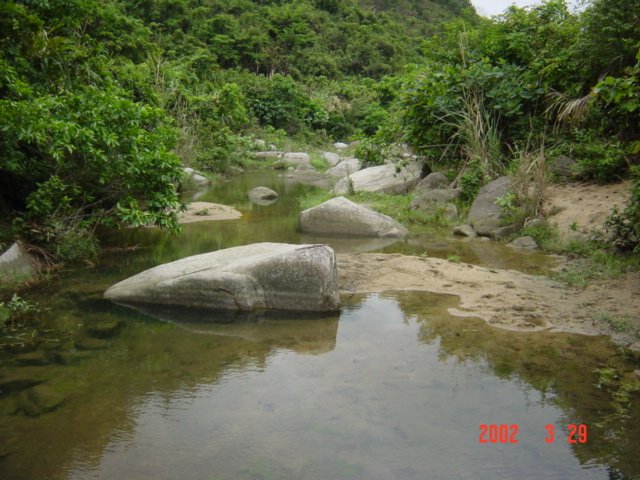 Mountain stream