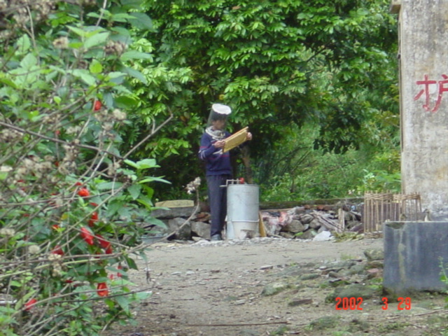 Beekeeper inspecting honeycomb