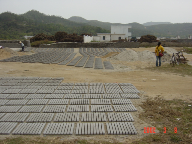 Rough concrete bars used for oyster farming