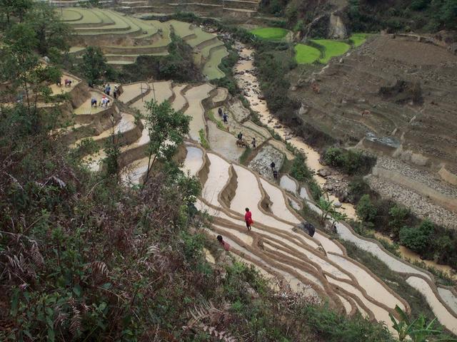 Terraces nearby the confluence.