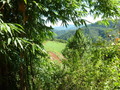 #4: View South