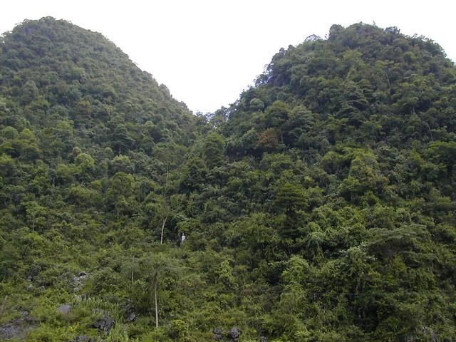 View of the confluence point location