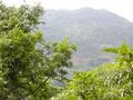 #3: View from the confluence point to the South