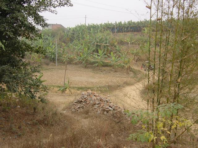 Facing west from the confluence, with a banana plantation on the hill opposite