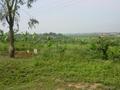 #3: View from the confluence point to the South