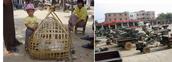 #8: Boy with ducks and walking tractor parking lot