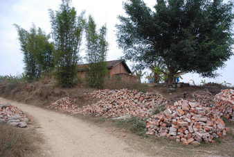 #1: Confluence point located in front of the hose between the tree and bamboo grove