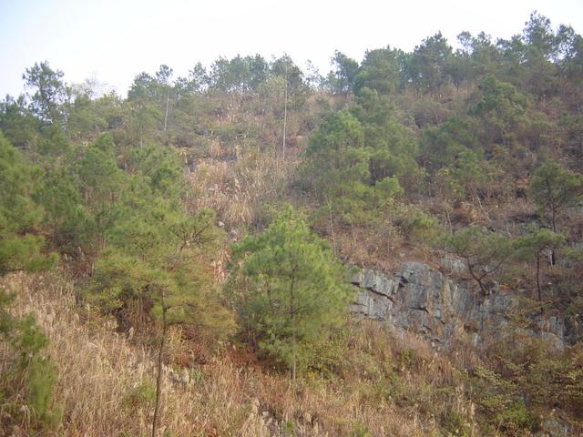 Looking east towards the confluence 50 metres away, near the top of the hill