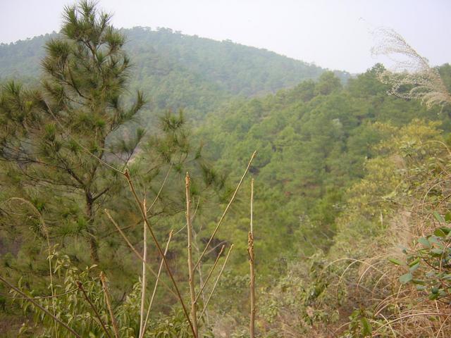 Facing north from the confluence