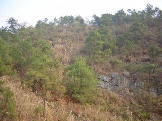 #1: Looking east towards the confluence 50 metres away, near the top of the hill