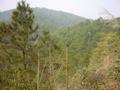 #6: Facing north from the confluence