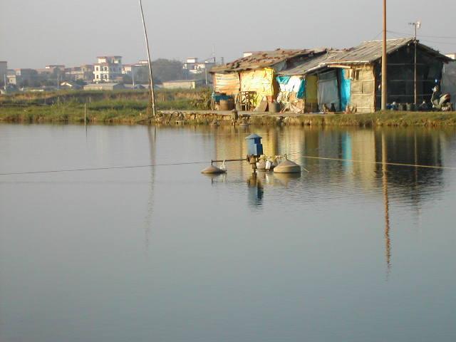 West View of the Confluence Point located approximately where the water aerator is located