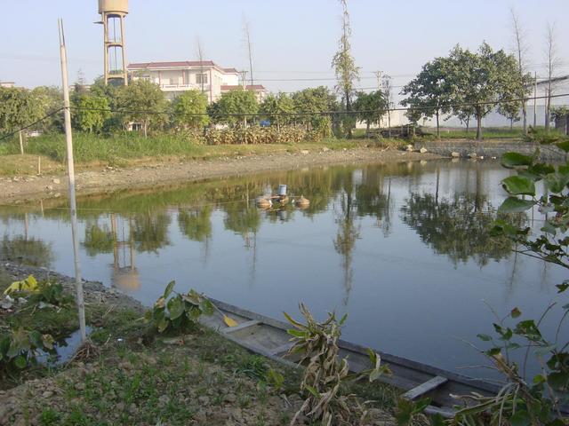 North View from the Confluence