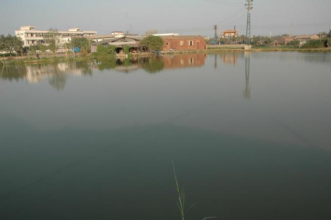 Confluence point located half way to the 2 buildings by the edge of the pond