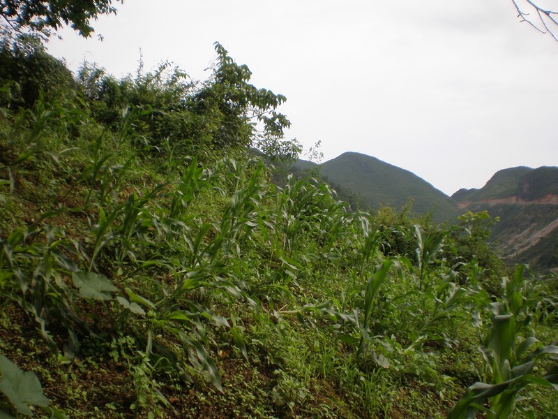 South, withthe confluence in the immediate foreground