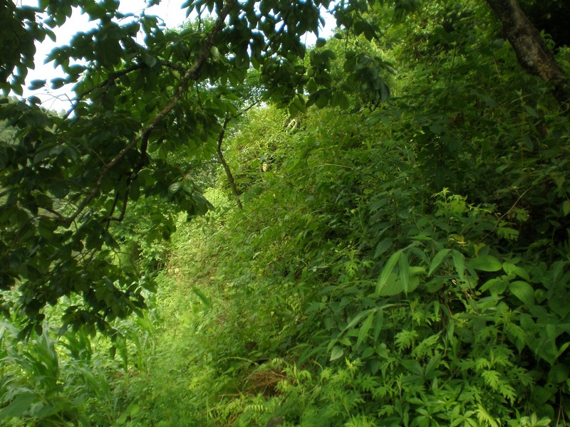 East
