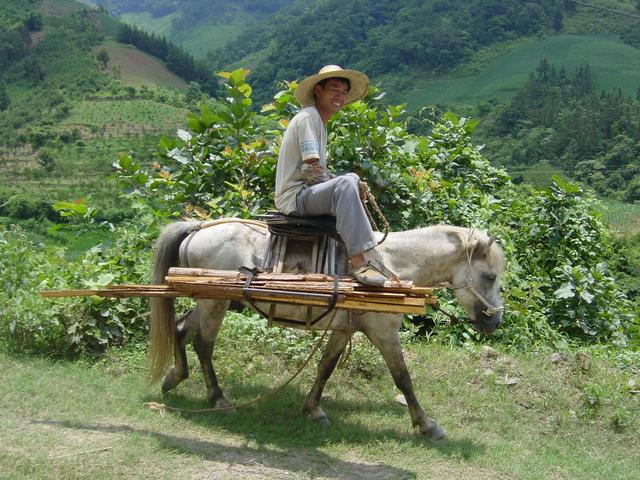 Man on horseback, on the road to Kunping