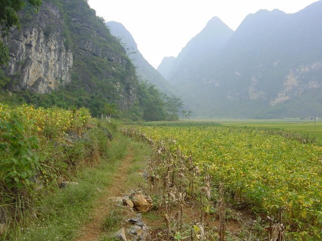 Looking towards the confluence 100 meters east, at the base of the rocky outcrop