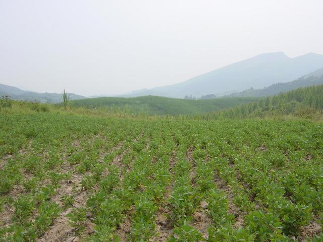 Facing south from the confluence