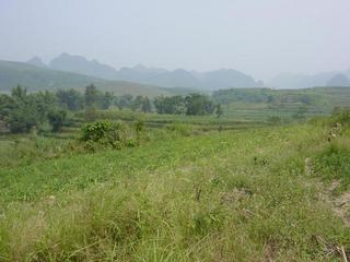 #1: Facing east from the confluence