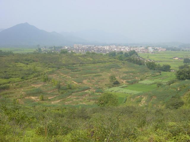 Looking north towards Beituo