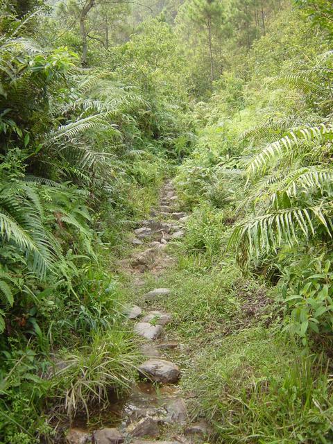 At one point, the path is nothing more than a small creek