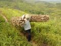 #2: Backbreaking work: carrying wood out of the mountains