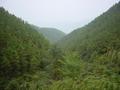 #6: Deep within the forest, surrounded by mountains, looking back towards the east