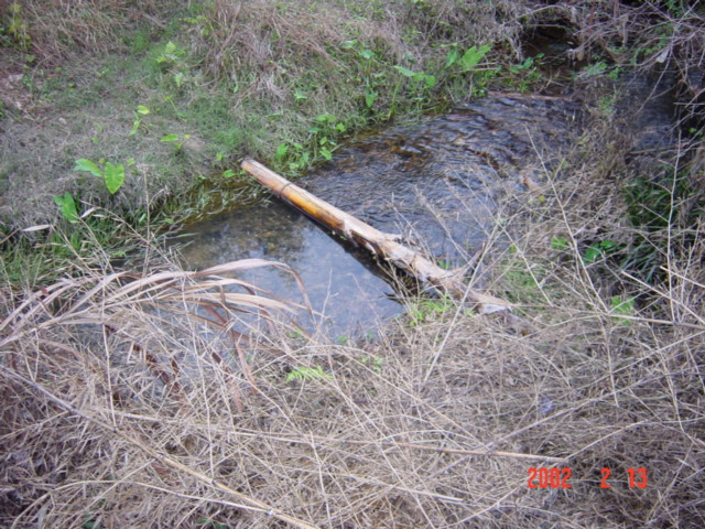 A very slippery, narrow piece of bamboo made for a treacherous crossing