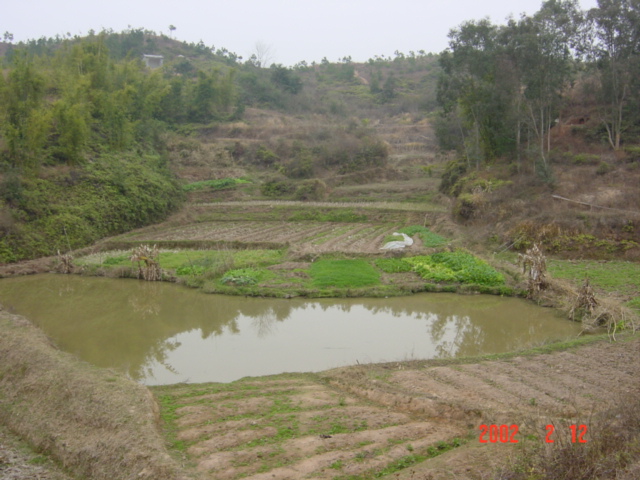 The confluence is located at the base of the hill, just beyond the end of the flat cultivated area