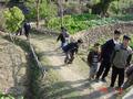 #7: Children scrambling to avoid the camera