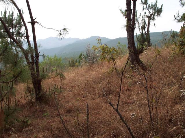 South view of confluence