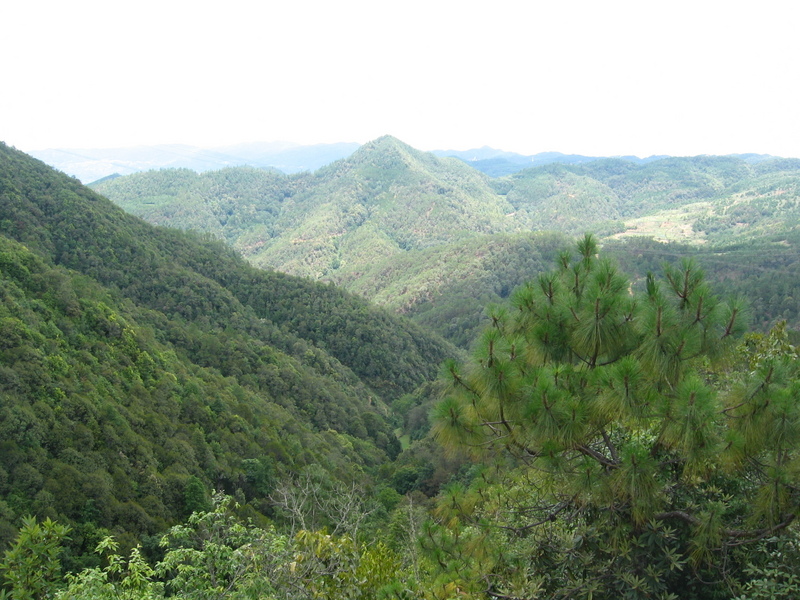 The Confluence from 300 m