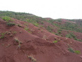 #9: View to the East