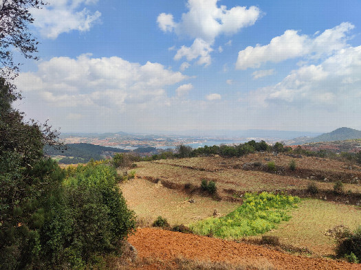 #1: the general area