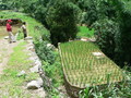 #6: Ah Feng and our motorcyclist setting off on foot from Gǔguǎngdà, where one of the houses had a rice paddy on the roof.