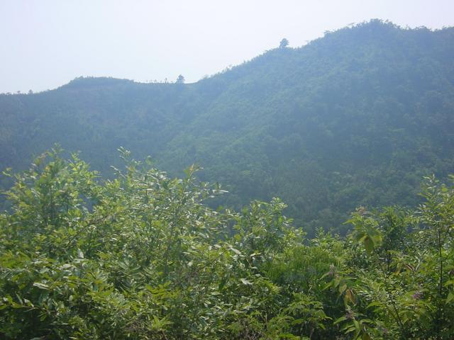 Facing west from the confluence