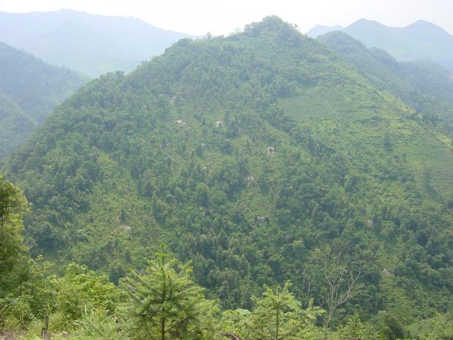 Confluence is near the top of the mountain, 750 metres southeast