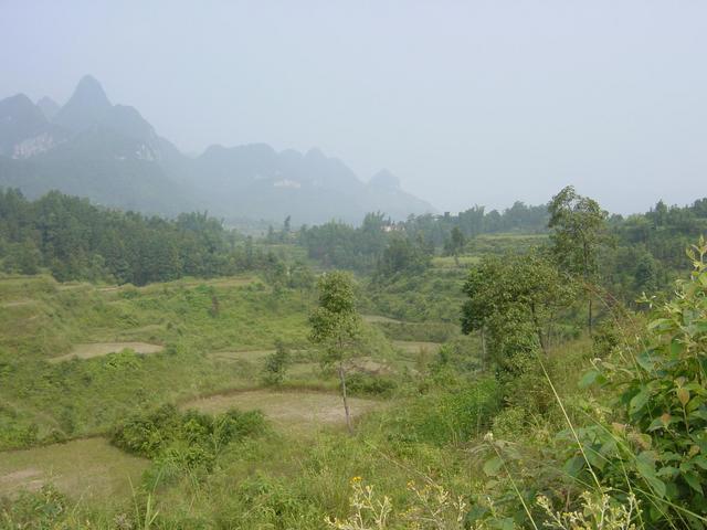 Facing north from the confluence