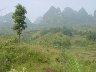 #1: Facing west from the confluence