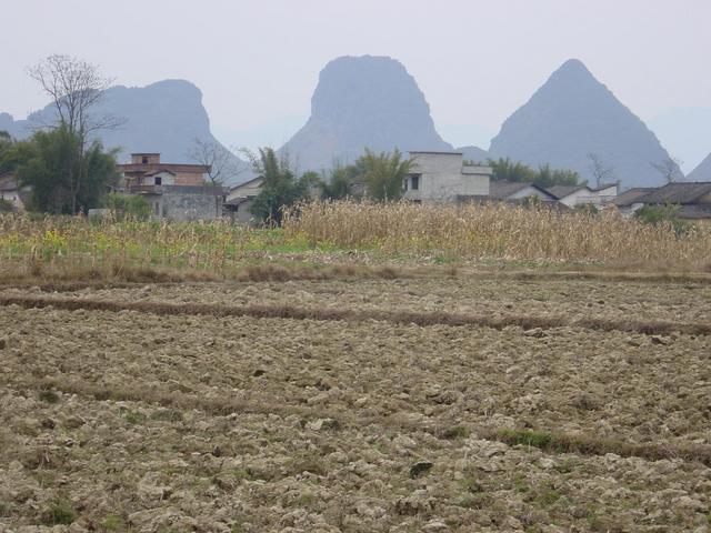 View from the Confluence to the West