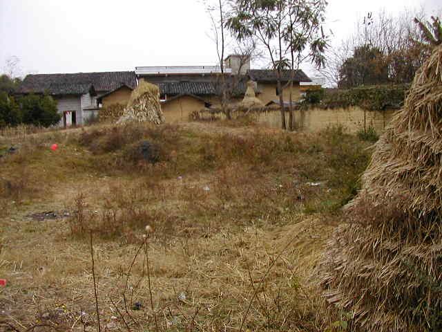 View from the Confluence to the East