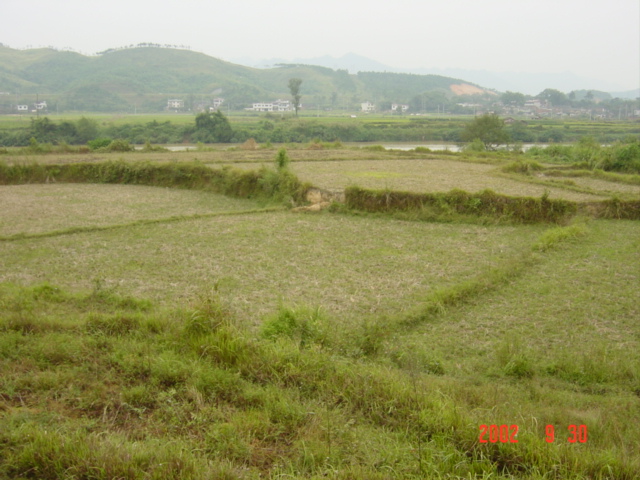 Facing north-northwest; confluence in centre foreground field, river beyond; expressway on distant hillside.