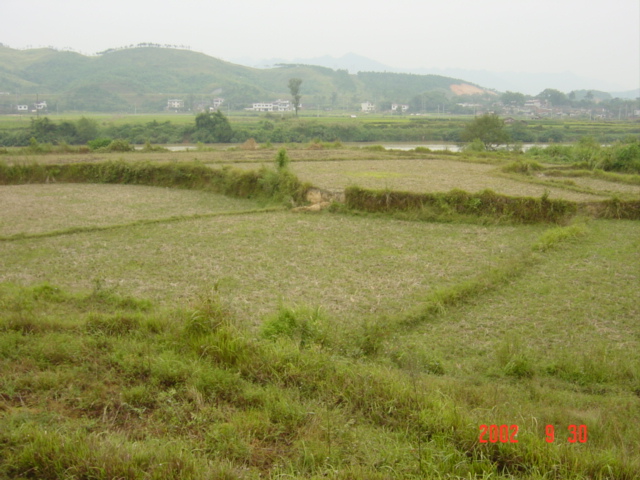 Facing north-northwest; confluence in centre foreground field, river beyond; expressway on distant hillside.