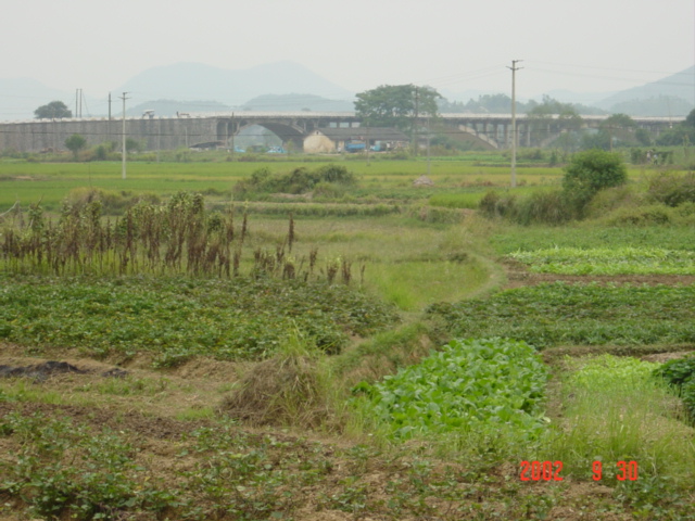 Bridge 900 metres northeast of confluence.