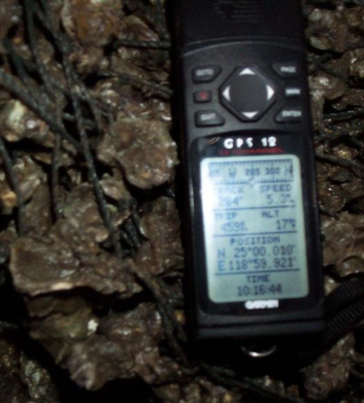 GPS on snail shells.