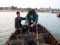 #10: Getting into sea snail fishing boat with Mazu temple in back.