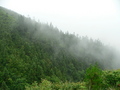 #9: Looking west (from the hilltop 55 metres south of the confluence).